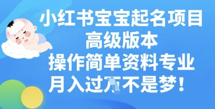 小红书宝宝起名项目高级版本，操作简单，资料专业，月入过W-柒资源网创