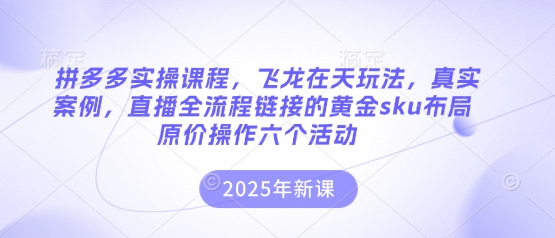 拼多多实操课程，飞龙在天玩法，真实案例，直播全流程链接的黄金sku布局原价操作六个活动-柒资源网创