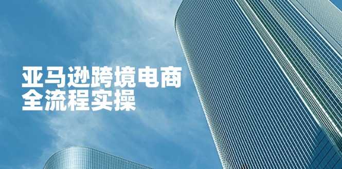 (14252期)亚马逊跨境电商全流程实操,教你从零开始,掌握店铺运营与广告技巧-柒资源网创