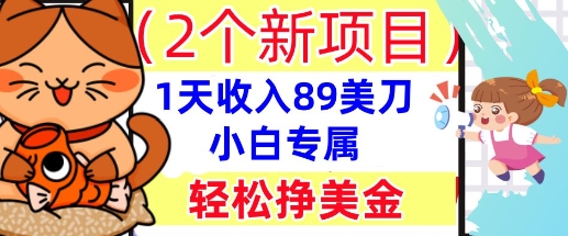 2个新项目,轻松挣美金, 1天收入89美刀,小白专属,干货分享-柒资源网创