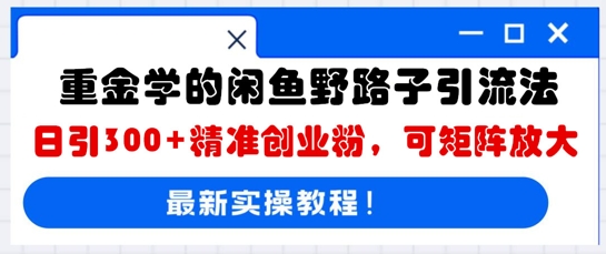 重金学的闲鱼野路子引流法,日引300+精准创业粉,可矩阵放大-柒资源网创
