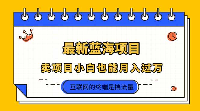 (14289期)2025年最新蓝海项目,卖项目小白也能月入过万-柒资源网创