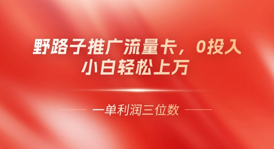 0门槛推广流量卡，一单收益上百，0投入，小白月入过W-柒资源网创