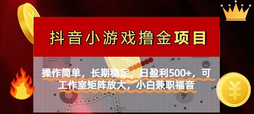 (14290期)【抖音小游戏发行人计划项目】操作简单,长期稳定,日盈利500+,可工作...-柒资源网创