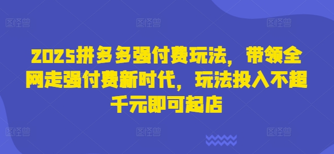 2025拼多多强付费玩法,带领全网走强付费新时代,玩法投入不超千元即可起店-柒资源网创