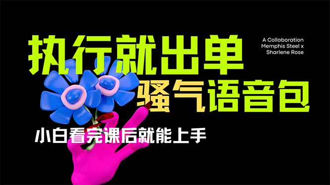 (14170期)爆火全网的开车导航骚气语音包,只要执行就出单,小白看完课程就能实操...-柒资源网创