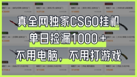 真全网独家CSGO挂G，单日捡漏1k+【揭秘】-柒资源网创