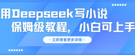 用Deepseek写小说,保姆级教程,小白可实操-柒资源网创