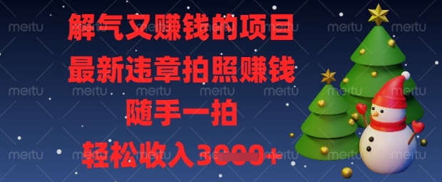 解气又挣钱的项目，最新违章拍照挣钱，随手一拍，轻松收入数张【揭秘】-柒资源网创